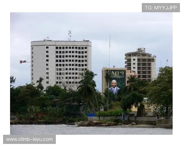 加蓬足球明星的辉煌征程与非洲绿茵场上的荣耀时刻